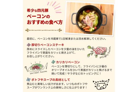 四元豚 熟成ベーコンブロック 3個 【1128】