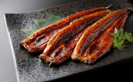 浜名湖うなぎ 蒲焼セット（蒲焼3尾・肝焼3本）【配送不可：離島】 養殖 浜松 職人 熟練 手焼き こだわり 秘伝のタレ 深み 滋味 電子レンジ パワーフード 