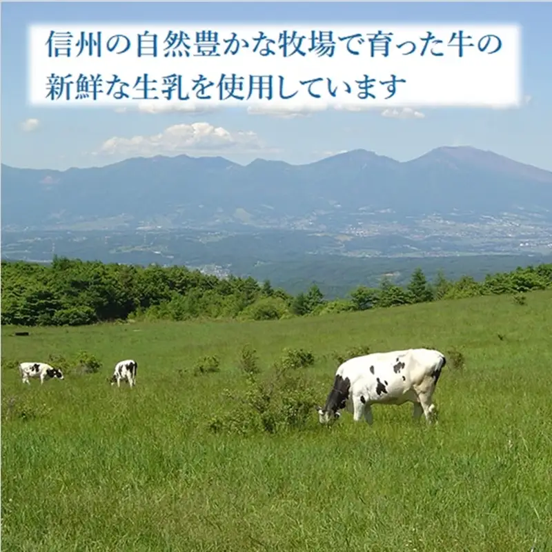 【3ヶ月定期便】大草原の恋人 望月高原ヨーグルト12本 飲むヨーグルト 濃厚 信州 ご当地 お取り寄せ