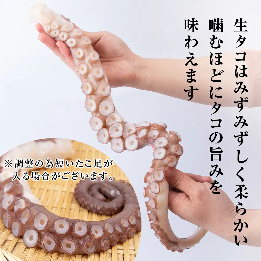 ☆天塩町産たこ足1kg