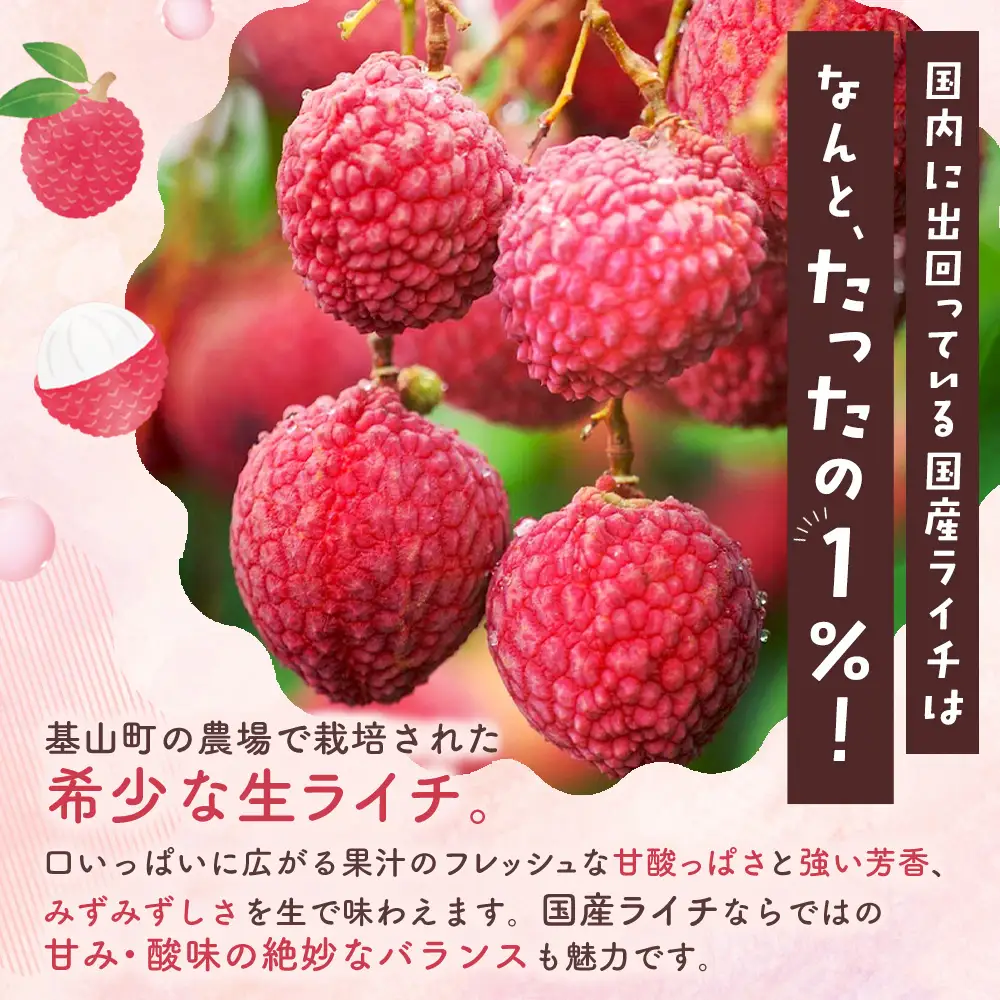 【期間限定 数量限定】7月25日（土）よる19時から「笑ってコラえて！ ダーツの旅」 佐賀県産ライチ 1kg(贈答用) K060010
