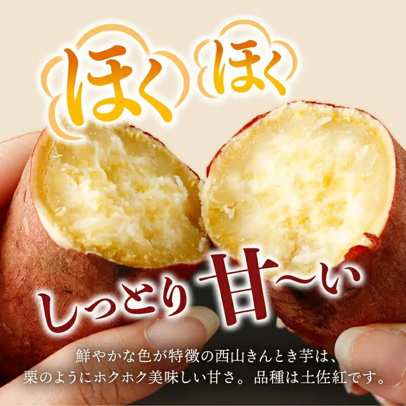 さつまいも 1月お届け 西山きんとき芋 サツマイモ 訳あり 10kg