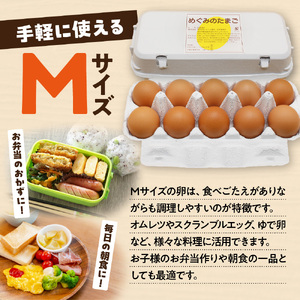 新鮮 赤卵「宗像たまご」Mサイズ 60個（55個＋補償5個）【JAほたるの里】_HA0916