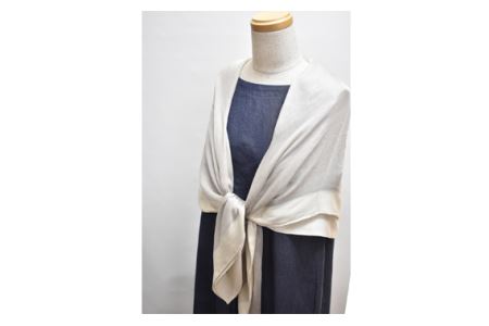 No.254 シルクカシミヤストール　「Frame」white【n0254_mut_A】