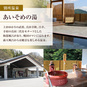 旅行 長野 温泉施設 4館共通 入館券 11枚組 家族・友人で利用しやすい 上田市内 日帰り 温泉 施設利用券 利用券 トラベル チケット 旅行券 長野県