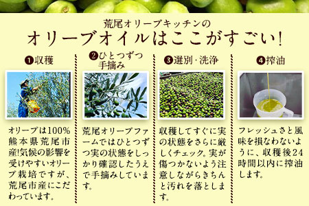 荒尾市産100％ エキストラバージンオリーブオイル 2本セット 荒尾オリーブファーム合同会社《30日以内に出荷予定(土日祝除く)》 st-p