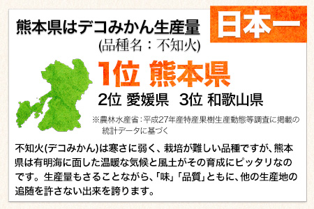 不知火 デコみかん ( デコポンと同品種 ) 不知火 ご家庭用  熊本県産 ( 荒尾市産含む ) 《2月上旬-4月上旬頃出荷》訳あり 約 5kg (12-24玉前後) 柑橘 みかん フルーツ 不知火 訳あり 訳アリ でこみかん 果物 熊本県産 美味しい不知火 旬の不知火 ジューシー不知火 フルーツ不知火