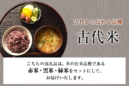古代米 (赤米/黒米/緑米) 900g 熊本県荒尾市産 赤米300g×1袋 黒米300g×1袋 緑米300g×1袋 米 つゆくさ農園 《30日以内に出荷予定(土日祝除く)》 美味しい米 お米 熊本県産米 くまもと米