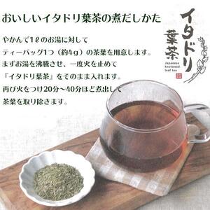 イタドリ葉茶 約48g (約4g×12包) ティーバッグ お茶 いたどり 春の山菜 山菜の里 高知 土佐 【グレイジア株式会社】 [ATAC517]