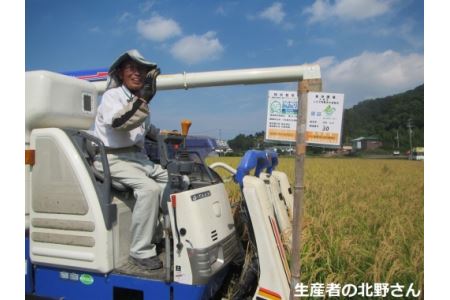 お米 白米 コシヒカリ 5kg 国産 徳島県 たんぼ米 