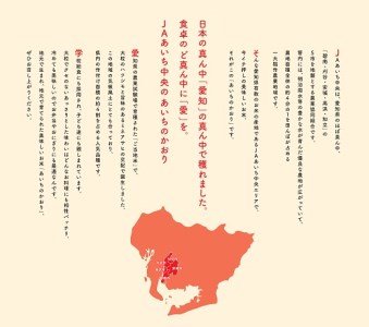 愛知県産　あいちのかおり10kg　H017-099