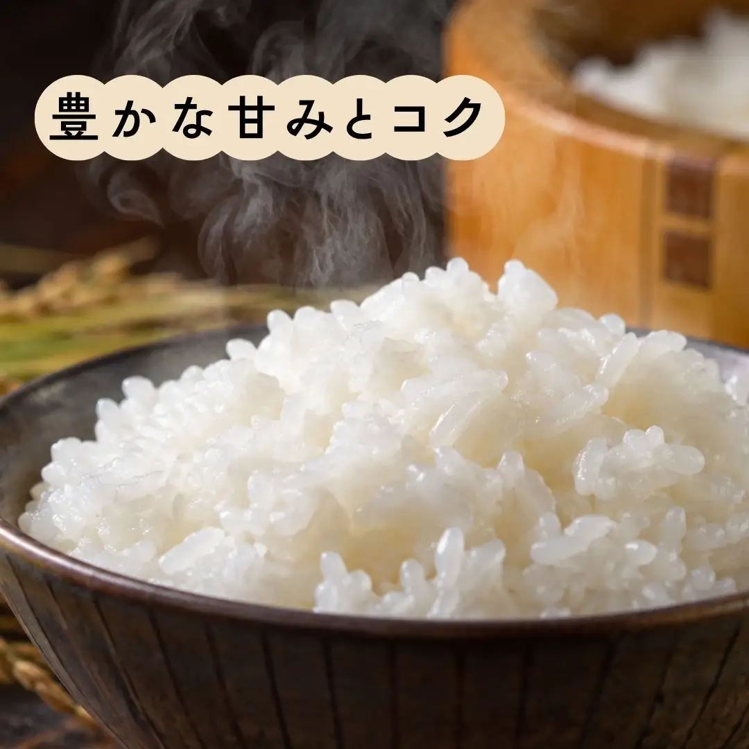 先行予約 特別栽培米 新之助 10kg 白米 新潟県三条市産 しんのすけ 令和8年 [佐藤農産有機センター]【018P072】