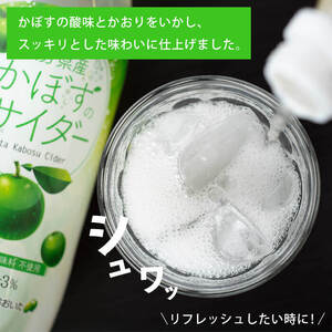 かぼすのサイダー (495ml×24本) かぼす ドリンク ジュース かぼす カボス 炭酸飲料 ノンアルコール ペットボトル 大分県産 特産品 家庭用 大分県 佐伯市 防災 常温 常温保存【HD185】【さいき本舗 城下堂】