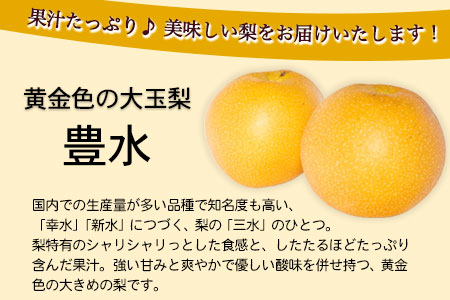 先行予約 産地直送 豊水梨 約4kg (9～10玉前後) 水車の里フルーツトピア 期間限定 岡山県 矢掛町 なし 果物 スイーツ フルーツ デザート《9月上旬-10月上旬頃出荷》