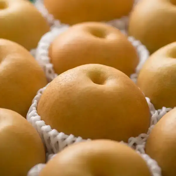 先行予約 和梨 豊水 自家用 約5kg  新潟県 三条市