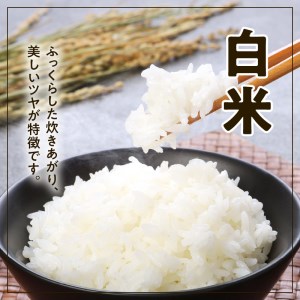 宮崎ヒノヒカリ延岡産白米と白い玄米セット合計5.8㎏ N0149-YC090