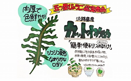 【山田海産物】淡路島産カットわかめ ５袋