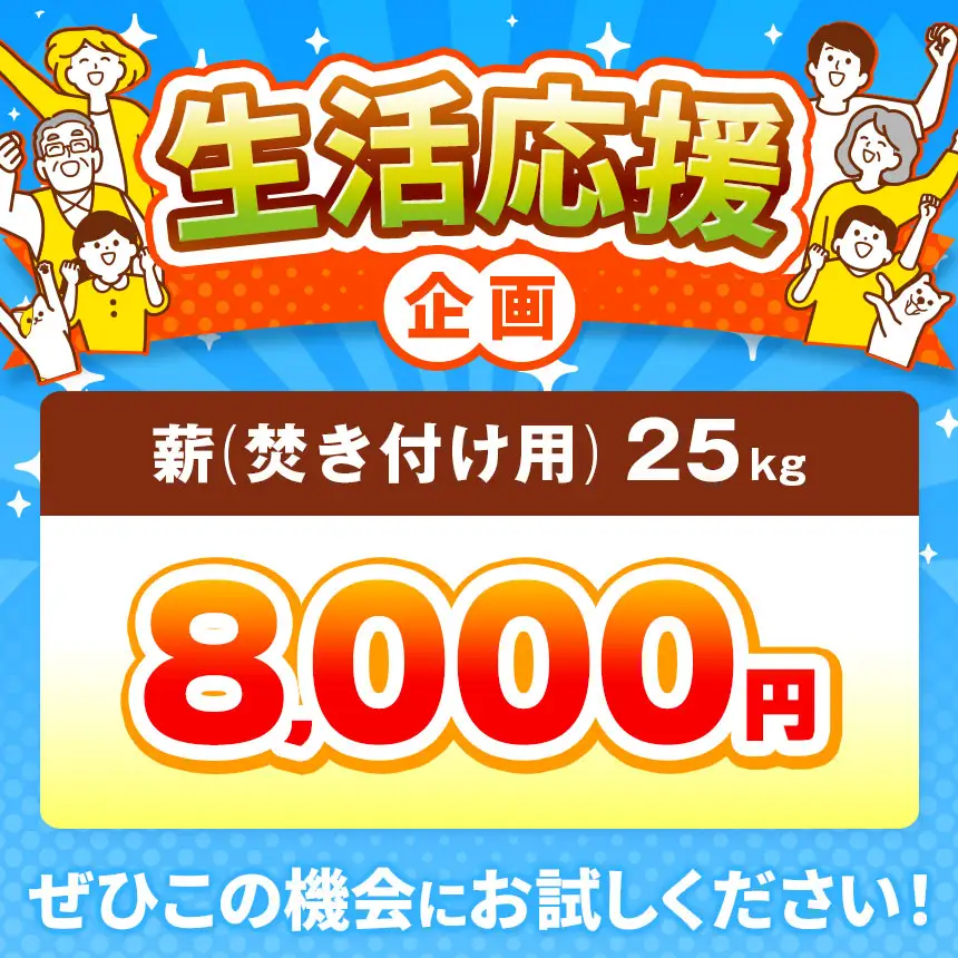 信州伊那谷産　松の薪　（焚き付け用）1箱　4束入り　２５ｋｇ相当｜薪 25kg 松の薪 長野県 伊那市 キャンプ BBQ アウトドア【008-17】