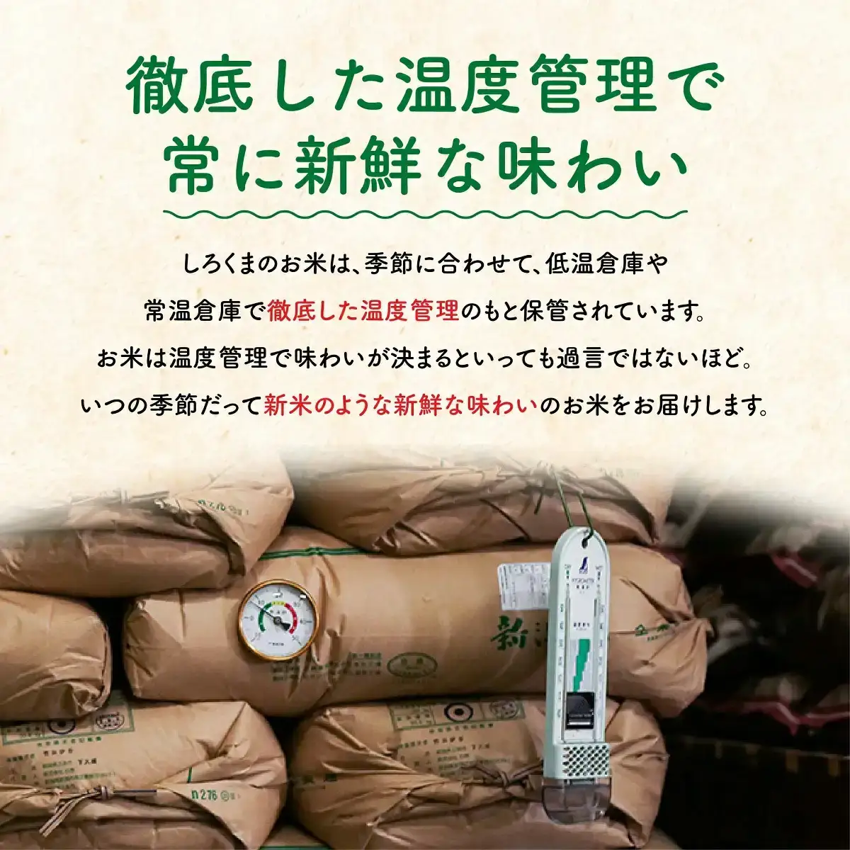 無洗米 令和7年産 コシヒカリ 三条市 5kg ｜ 無洗
