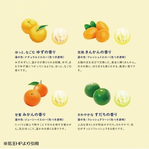 SC0525　花王バブ 至福の柑橘めぐり浴 12錠入×12箱