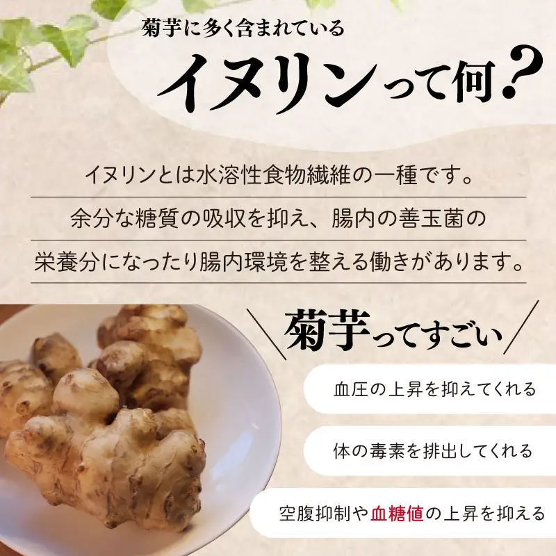 菊芋パウダー(30g)×6袋 粉末 イヌリン 国産 いも イモ 芋 菊芋茶 菊芋チップス SDGs エコ サスティナブル