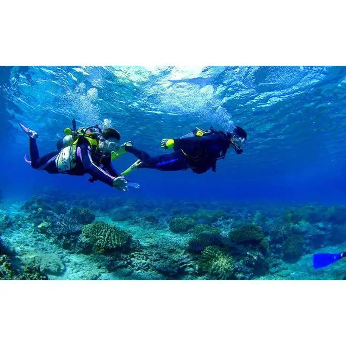 ニモとお魚たちに会いに行こう！熱帯魚パラダイスボート体験ダイビング1名様