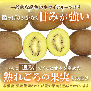 【2026年収穫分 先行予約!】〈ギフト〉福岡県ブランド！キウイフルーツ「博多甘うぃ」約1.4kg化粧箱入り【ほたるの里】_HA0943