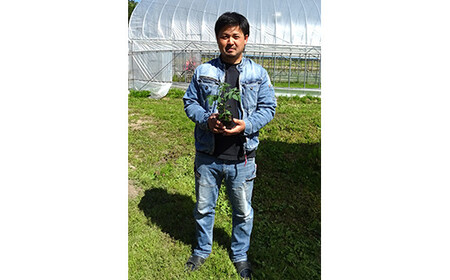 坂井農園 栽培期間中農薬不使用、不耕起栽培西会津ミネラルミニトマト（1kg）（清流ノ暁） F4D-0481