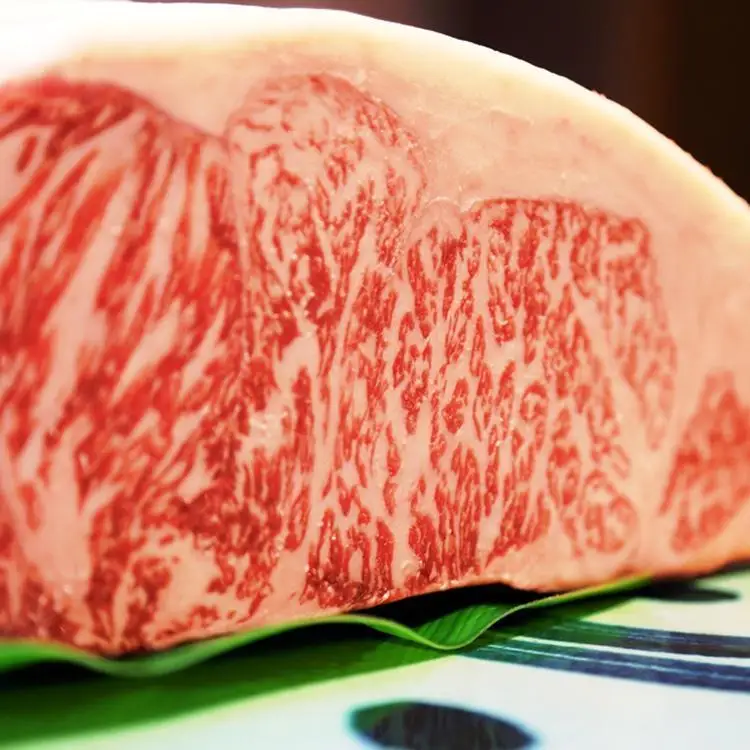 「しまぶた屋グループ」 お食事券 5,000円分
