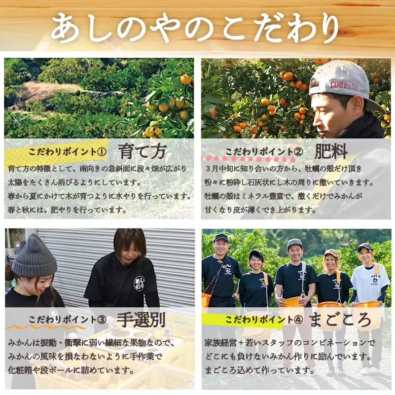 【2027年先行予約】和歌山県産 有田の はるみ 【訳あり 家庭用】 約6kg (S～4Lサイズ混合)_ZE6353n