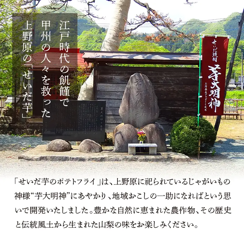 【好評につき完売】山梨県上野原産 『せいだ芋のポテトフライ』4味セット ギフト 4種