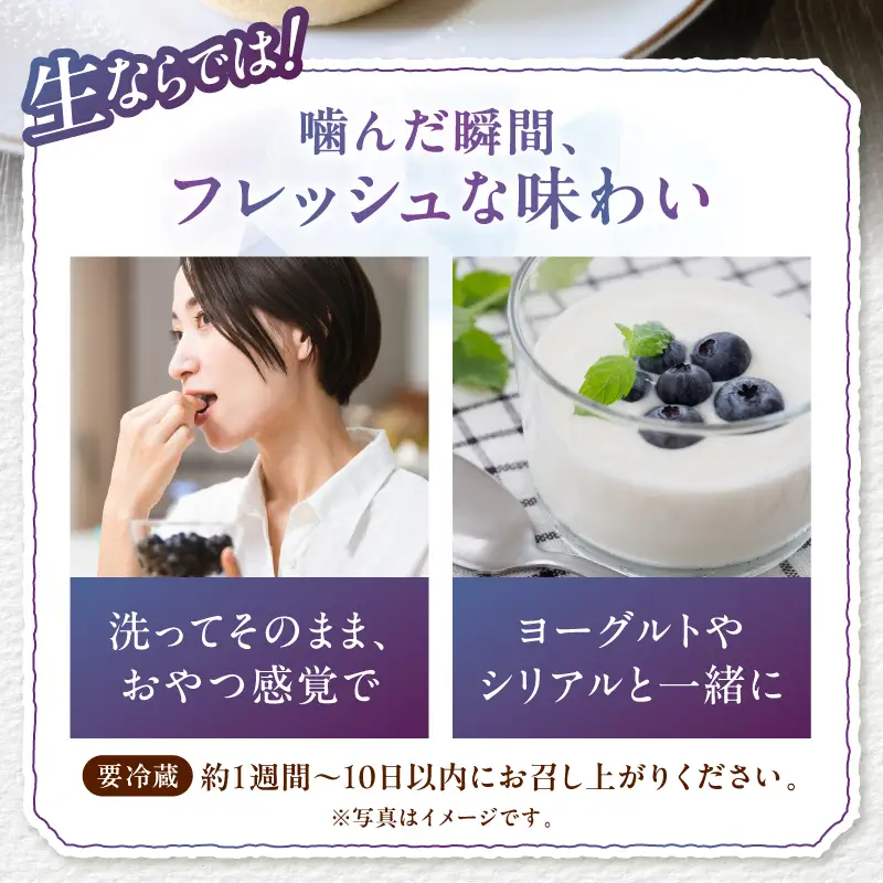 【2027年先行予約】大きく甘い、完熟ハイブッシュブルーベリー 1kg（250g×4パック） [h186]