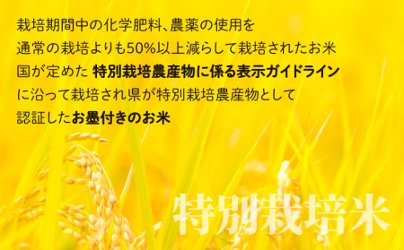 【令和7年産】【12ヶ月定期便】こしひかり 30kg × 12回 計360kg（白米）「エコファーマー米」－水のまちのお米－[Q-003002]