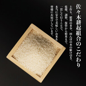ミルキークイーン 6kg 令和6年産 新発田市産 米 ミルキークイーン 2kg 3袋 人気 ミルキークイーン おすすめ ミルキークイーン  D10_01