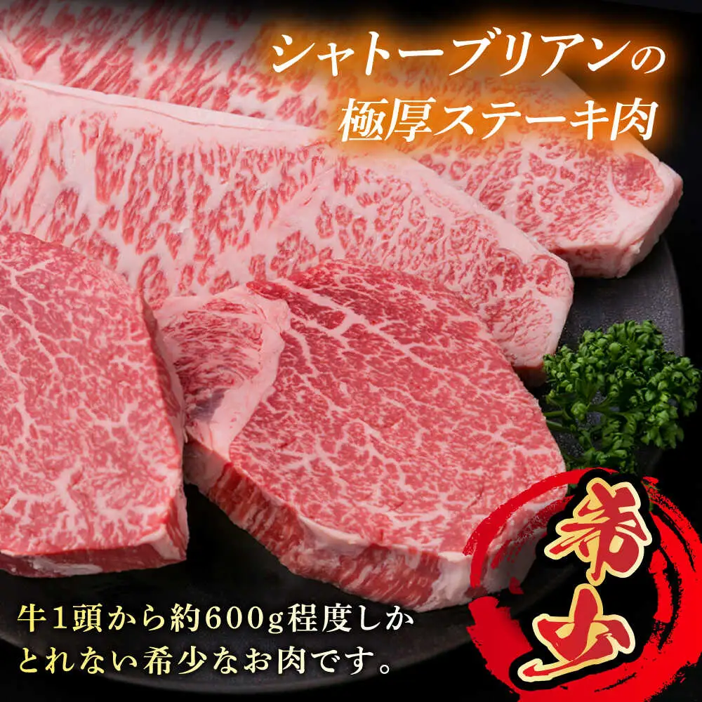 【極厚ステーキ】シャトーブリアン 約180g×2枚 サーロインステーキ 約250g×2枚 合計4枚 博多和牛 A4ランク 和牛 ヒレ 糸島市/糸島ミートデリ工房[ACA176]