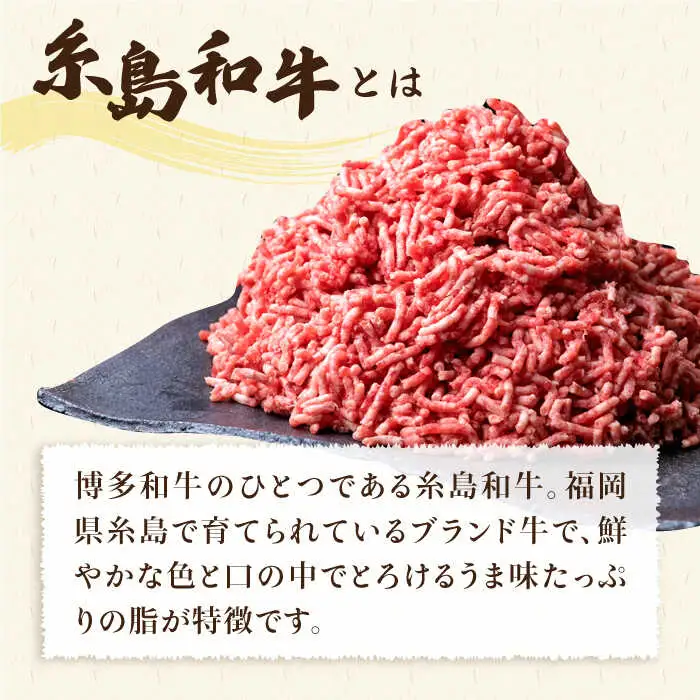 【全6回定期便】毎日のメインのおかずを彩る精肉セット 1,050g 2-3人前 4種 糸島市/糸島ミートデリ工房[ACA202]