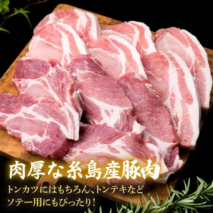 【全12回定期便】糸島豚ロース肉6枚 肩ロースカツ5枚 合計11枚セット 糸島市/糸島ミートデリ工房[ACA231]