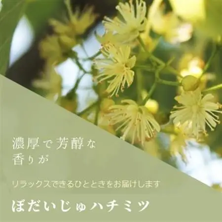 ハチミツのお酒　菩提樹のミード【クラシック】Linden Mead Classic　500ml【配送不可地域：離島・沖縄県】【1056692】