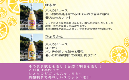 ジュエリーボックス（ジュース編）厳選10本 数量限定 ATI0029