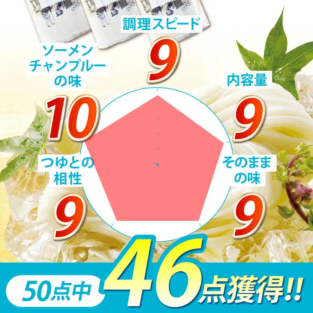 手延素麺「蔵」300g（6束）×30袋入 計 9kg 素麺 / 川崎 [SBI005]