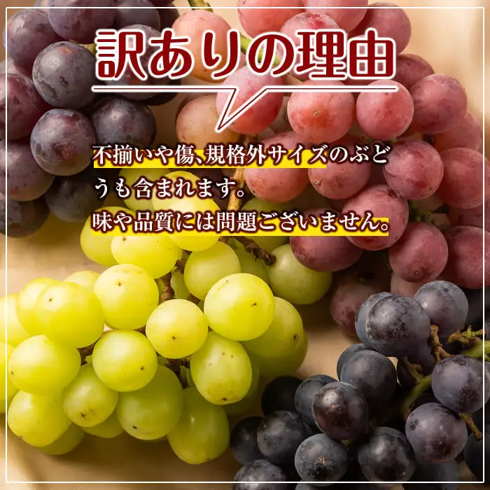A0-248 ＜先行予約受付中！2026年8月下旬～10月末までの間に発送予定＞《訳あり・数量限定》シャインマスカット入り旬のぶどう・ご家庭用詰め合わせ(計1.1kg以上・2房以上)【二月田ぶどう園】