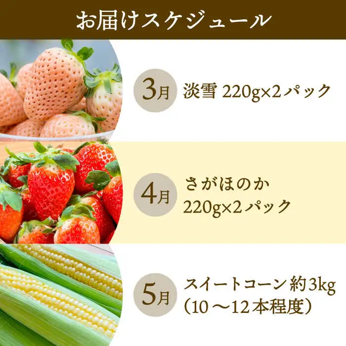 【先行予約】【3回定期便】いちごとスイートコーンの定期便 いちご とうもろこし [IZZ016]