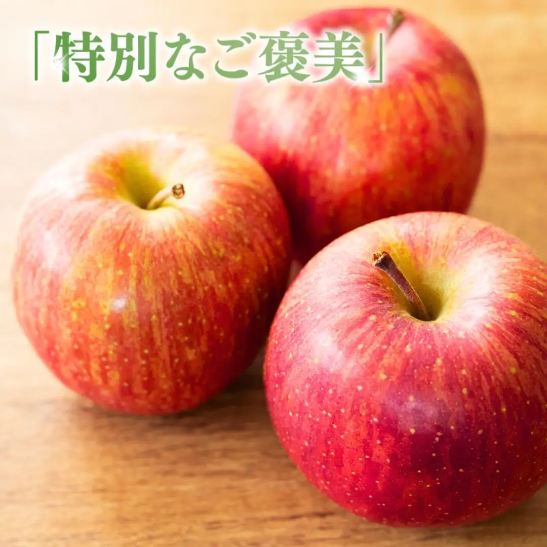 【2026年先行予約】りんご サンふじ 家庭用 訳あり 約10kg ＜中島農園＞|りんご
