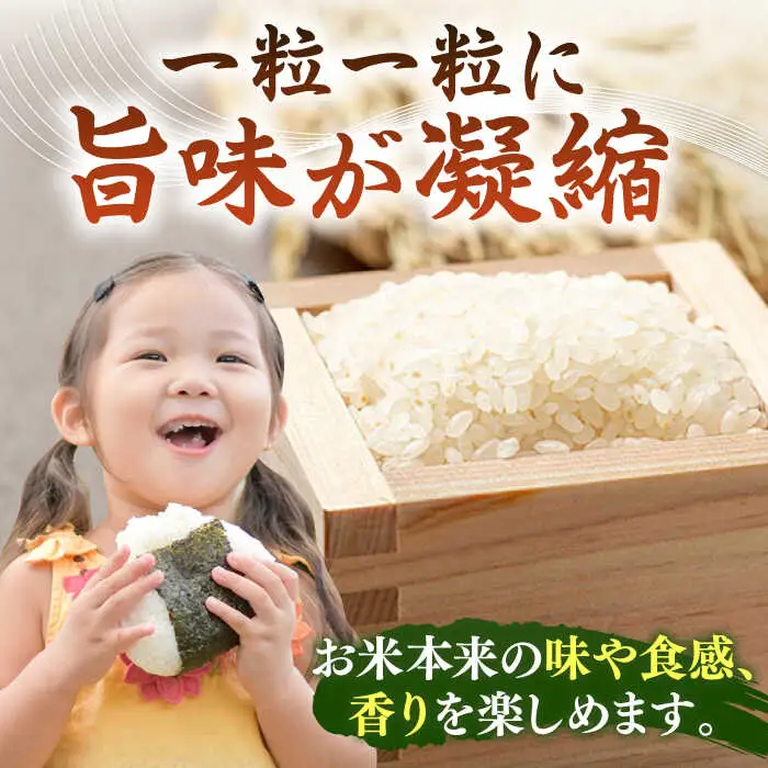 【R7年度産】天日自然乾燥米こしひかり 10kg《壱岐市》 【長米壱岐営業所】[JCZ013] 米 お米