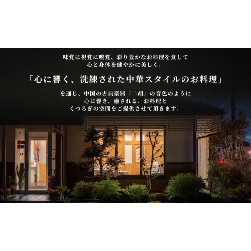 彩食健美 ニ胡  お食事券 12枚 チケット 中華料理 夕飯 家族 友人 ご飯 