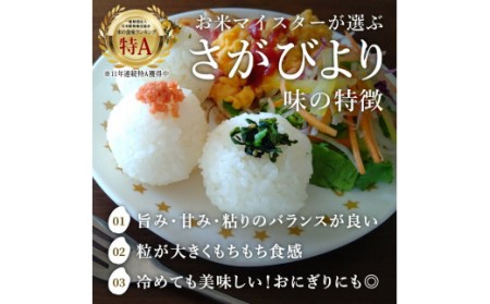 【定期便】さがびより【白米】５kg×６回 B700