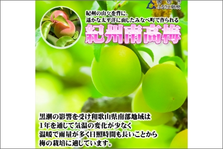 みかんこい梅 100g×5個【0920-3】