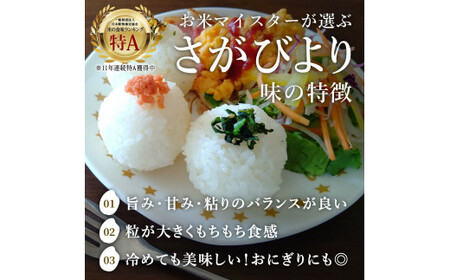 令和7年産 《マイスターセレクト》 さがびより【白米】 5kg×12回 999-B1059 