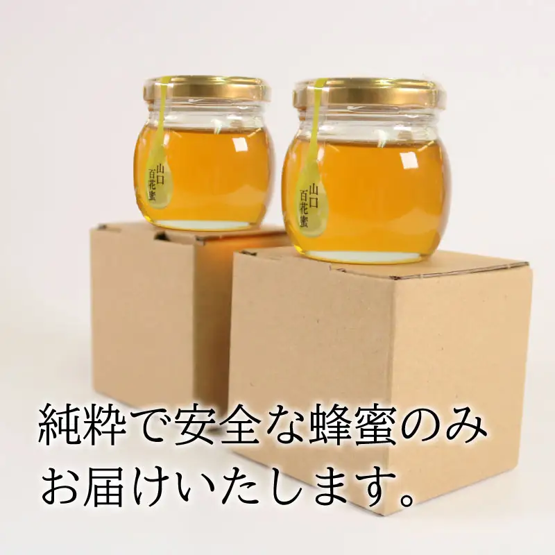 はちみつ 180g (90g×2個) 国産 百花蜜 はちみつ ES