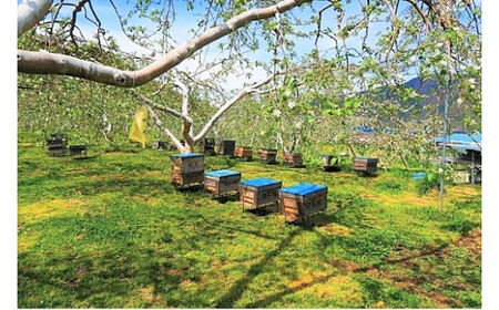 りんごジュース さみず 1000ml × 6本 果汁100% サンふじ やまり園 沖縄県への配送不可 飲料 果汁飲料 りんご リンゴ 林檎 ストレートジュース 信州 長野県 飯綱町 三水 [0390]